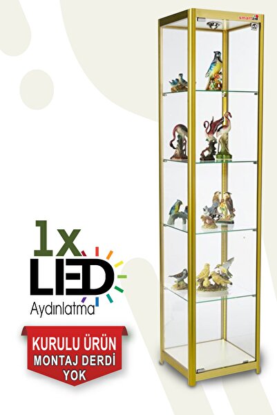 TEDA Camlı Vitrin - Camlı Dolap - Camlı Koleksiyon Vitrini - Cam Raf - Kurulu...