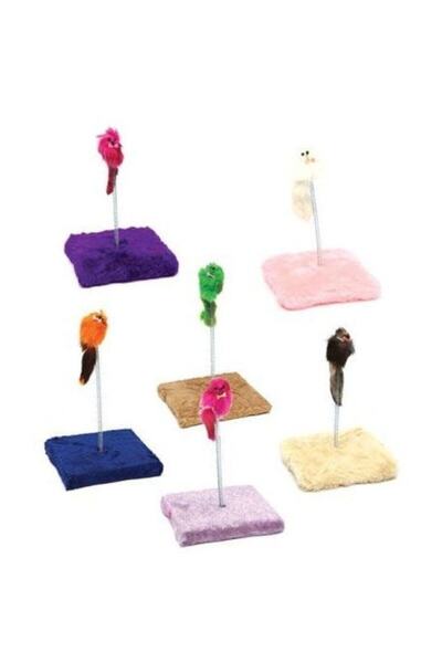 Pet Pretty Hacı Yatmaz Kedi Oyuncağı