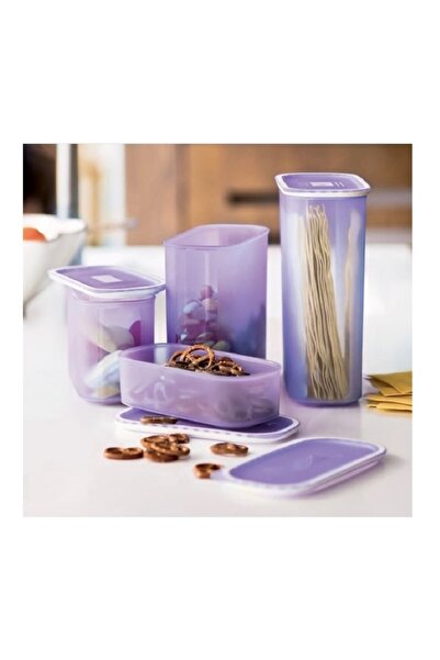 Tupperware 4-Piece Purple Dry Water Oval Food Storage Set - Hsgl