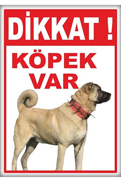 Printhome Uyarı Ve Yönlendirme Levhaları " Dikkat Köpek Var " 25x35cm Dekota ...