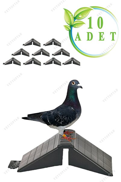 MUTLU TAVUKÇULUK Tünek Güvercin Bekar Tüneği 10 Adet Plastik Kuş Pigeon Yuva Kümes Malzemeleri Ekipman Yuvalık