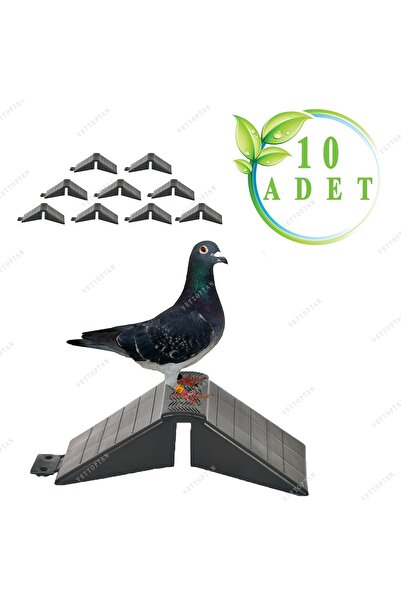 MUTLU TAVUKÇULUK Tünek Güvercin Bekar Tüneği 10 Adet Plastik Kuş Pigeon Yuva Kümes Malzemeleri Ekipman Yuvalık