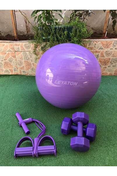 Leyaton Pilates Topu Pilates Topu 65 Cm 2 Kgx2 Adet Dambıl Body Trimmer Pompa...