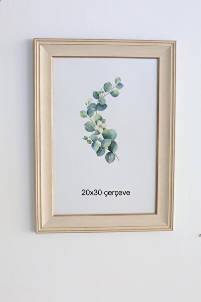 oversstore Dekoratif 20x30 Atlas Çerçeve Vizon