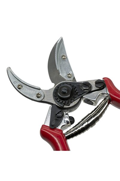 Master Vineyard Pruning Shears 215 mm508301