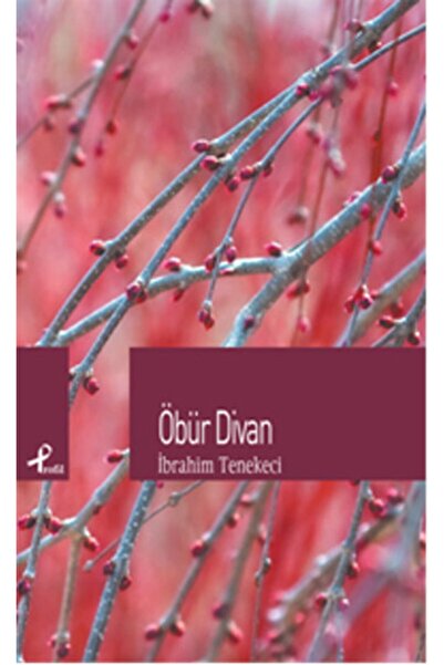 Profil Kitap Öbür Divan Ibrahim Tenekeci