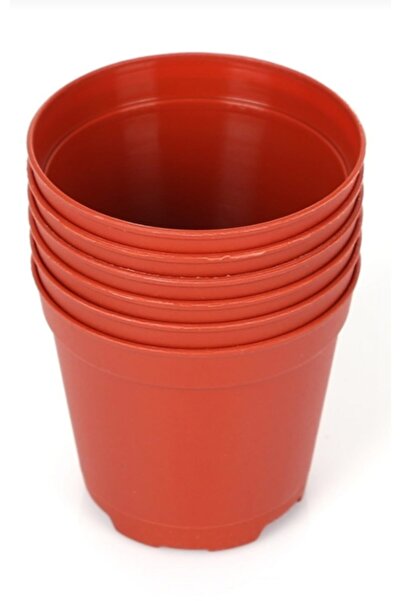 ARAS KAKTÜS SUKULENT Üretim Saksısı 5'lik saksı (10 Adet)