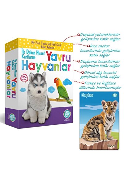 Circle Toys 0-3 Yaş Zeka Kartları Dokun Hisset Tanı Eğitim Kartları, Yavru Hayvanlar