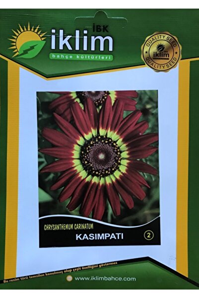 Karahasanoğlu Tarım Kasımpatı Çiçeği Tohumu-2 Kırmızı Takribi20 Adet Tohum