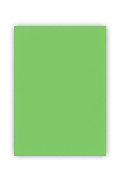 Bigpoint 50X70Cm 160 Gram Dough Painted Background Cardboard Light Green (Pack of 100)