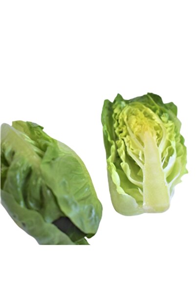 Erüst Tarım Mini Yedikule (Baby Coslettuce)
