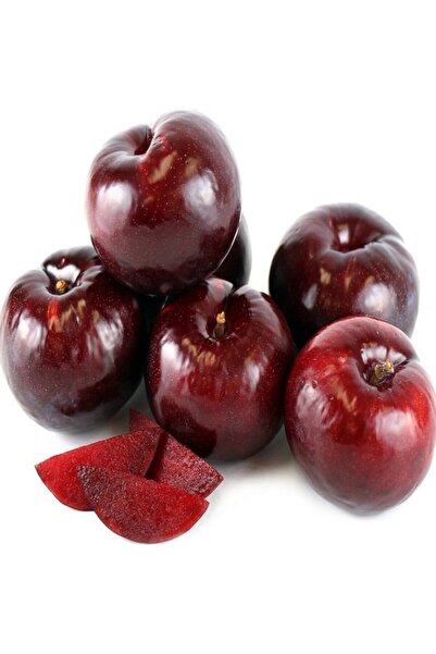 E-fidancim Tüplü Içi Kırmızı Black Splendor Japon Erik Fidanı