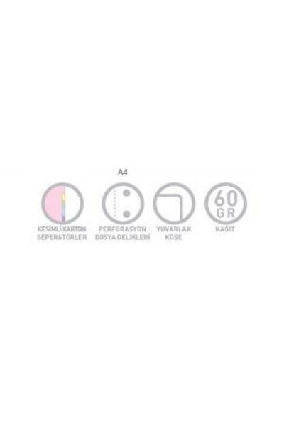 Gıpta Cosmo A4 Spiral 6 Separator PP Cover Notebook 200 Sheets Lined (Pack of 2) 3986