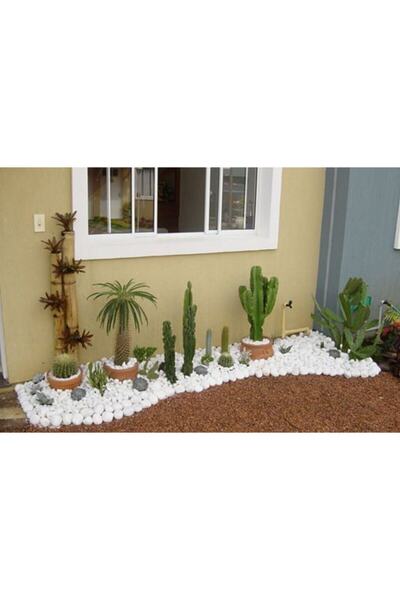 Asenya Dolomit Taş 5 Kg 6-10 Cm Dere Taşı Çakıl Taşı Bahçe Süs Taşı Dolamit Taş Dekoratif Taş