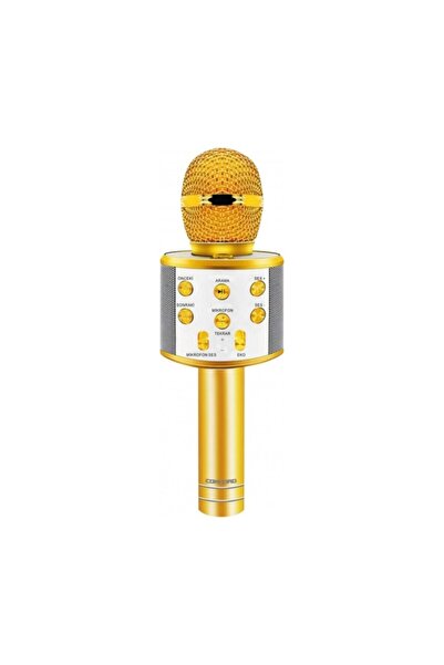 ProDepo Türkçe Seslendirme Yüksek Kalite Karaoke Mikrofon Hoparlör (C-8500)