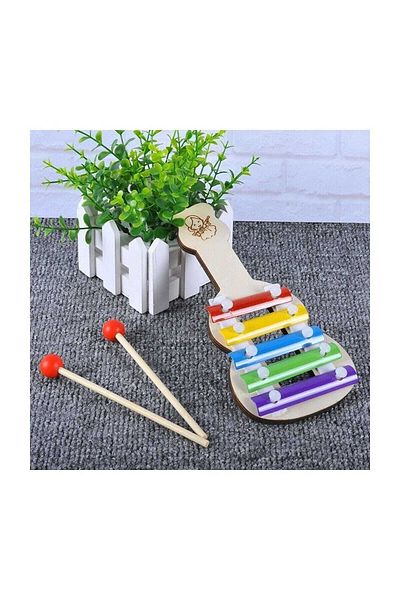 Learning Toys Colored Wooden Cellophane Slfb-g