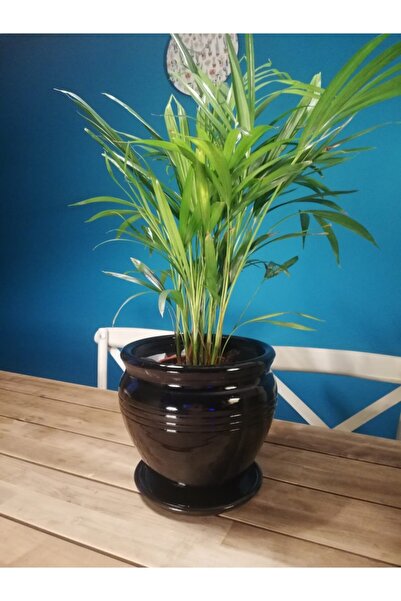 Balcony Flower Orta Boy Çömlek Saksı