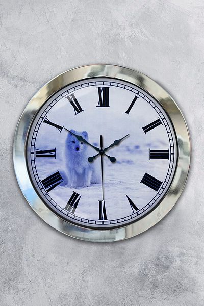 Kasva Concept Gift 36 cm Chrome Metal Animal Wall Clock