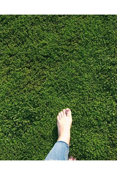 Amasya Natural Garden Bermuda (Cynodon–Uganda–Köpek dişi ayrığı) kuraklığa dayanıklı ve spor alanı çim tohumu 250 gram