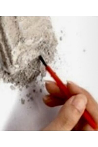 AZİZ OYUNCAK Heart Dig Toy Dinosaur Series Stegosaurus Breed Activity Activity Activity Project