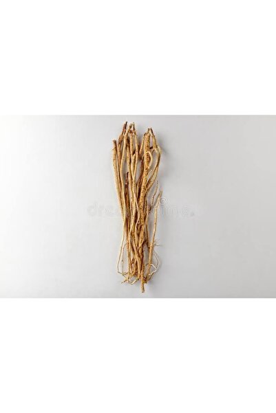 Ege Pazarından Çin Geveni 25 gr Geven Otu Astragalus