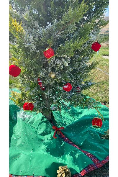 White Alamode Green Colored Christmas Pine Tree Cover
