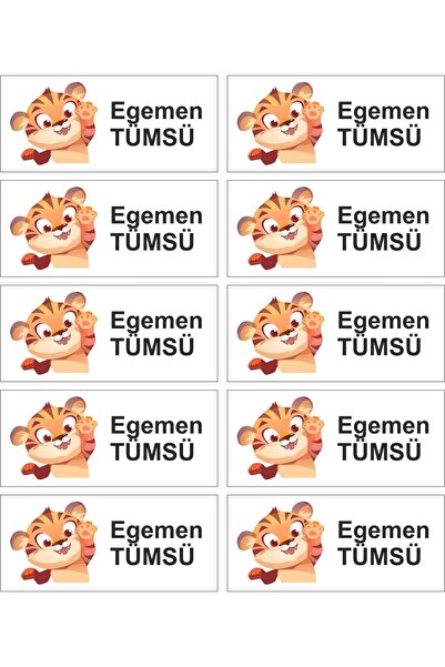 Baskı Madeni Isimli Okul Etiketi Defter Kitap Etiketi