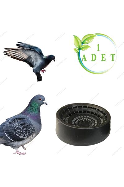 MUTLU TAVUKÇULUK Folluk Güvercin Folluğu Delikli Oval 1 Adet Plastik Yumurtal...