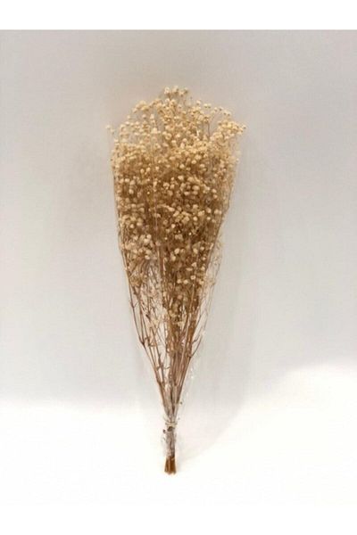 Aker Hediyelik Φυσικό Όμορφο Διακοσμητικό Στόχο Cipso Dry Flower