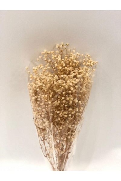 Aker Hediyelik Φυσικό Όμορφο Διακοσμητικό Στόχο Cipso Dry Flower