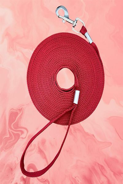 LİDERSAN ÇELİK Steel Pressed 10 Meters Dog Garden Tethering Leash Lead Strap Red Color