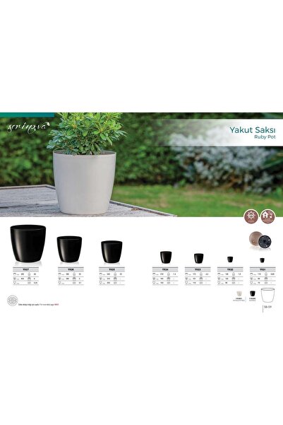 SERİNOVA Yakut Saksı