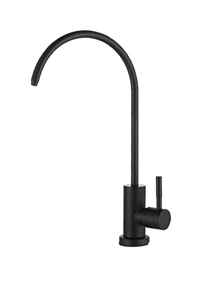 Beyazsu Black Rod Handle Kitchen Purifier Faucet