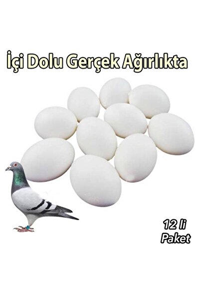 gclshop Güvercin Yumurtası 1 Adet (içi Dolu)