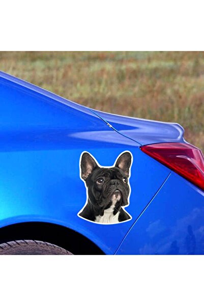 TSC ملصق سيارة بولدوج فرنسي 15 سم