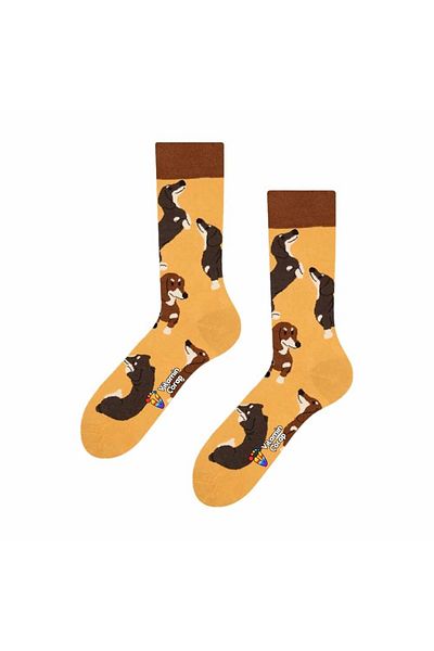 Limmon Store جوارب ملونة للكلاب