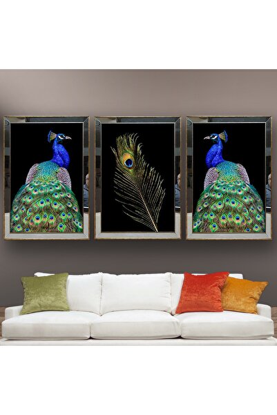 dbsanat Tavus Kuşu Temalı Aynalı Çerçeveli 3 Lü Kanvas Tablo Seti 150x70 Cm