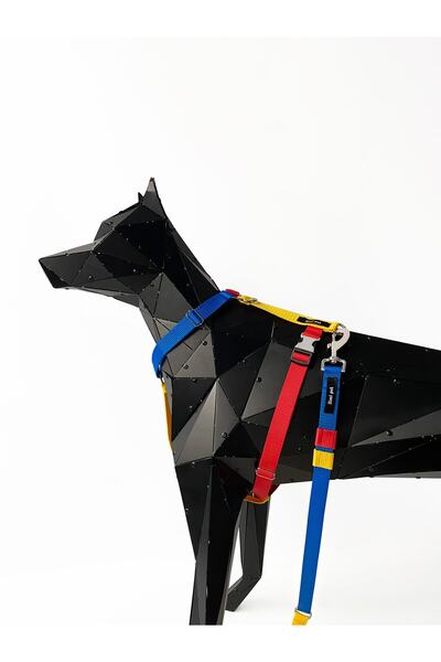 Jimi pet Lego Model Leash Set