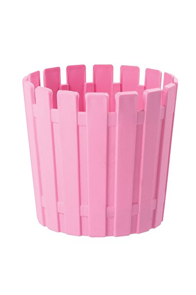 Lider Akasya Kaktüs 8,5 Fresh Mix