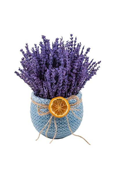 Aver Tasarım Eskitme Saksıda Lavanta Tasarımı