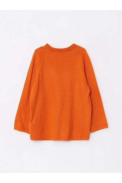 LC Waikiki Crew Neck Long Sleeve Basic Baby Boy Knitwear Sweater