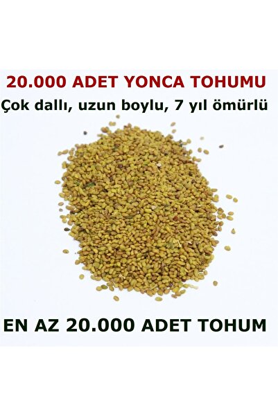 TohumGübre Yonca Tohumu 20.000 Adet + Hediye Üzüm Fidanı Tohumları