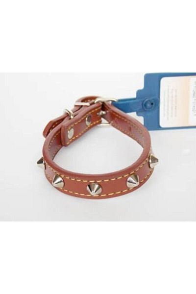 Eastland Leather Neck Collar with Metal Accessories 35 cm