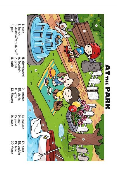 Enine Boyuna Eğitim English Teaching Vocabulary Posters Covered with 22 Laminations - Transverse Longitudinal Training