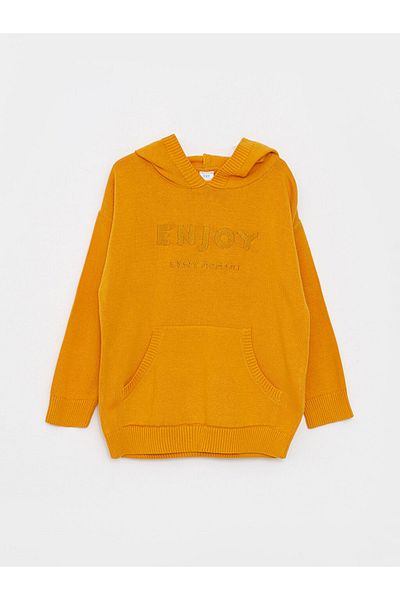 LC Waikiki Hooded Long Sleeve Embroidery Detailed Baby Boy Knitwear Sweater