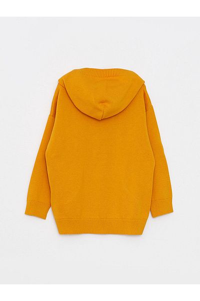 LC Waikiki Hooded Long Sleeve Embroidery Detailed Baby Boy Knitwear Sweater