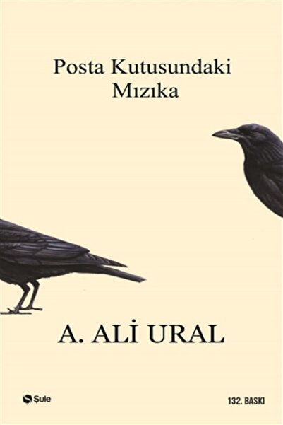 Şule Yayınları Harmonica in the Mailbox - A. Ali Ural -
