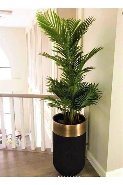 MUMBOX 60x40 cm Dekoratif Darbuka Saksı Gold Detaylı