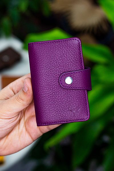Garbalia Adanus Genuine Leather Plum Accordion Card Holder