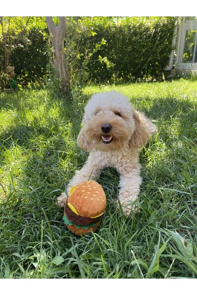 Fluffy Buddies Store Peluş Sesli Hamburger Köpek Oyuncağı